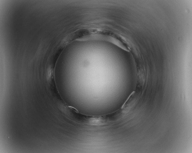 X0000089730574200707051741
