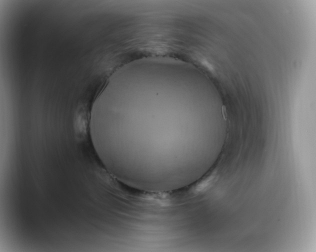 X0000089730576200707051741