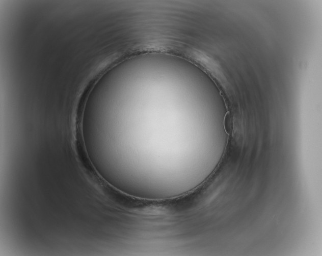 X0000089730578200707051740