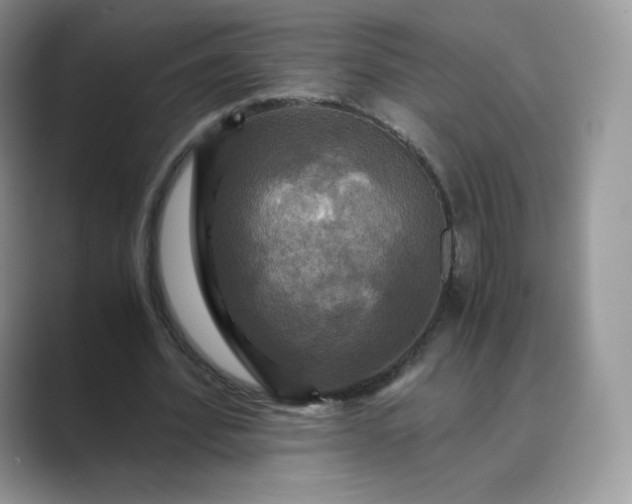 X0000089730580200707051740