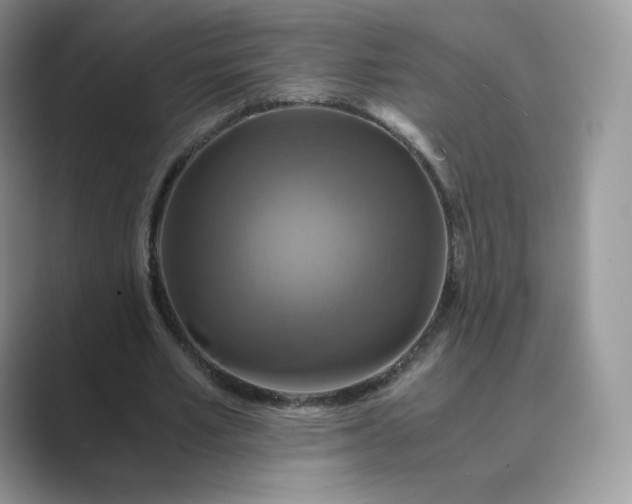 X0000089730581200707051740