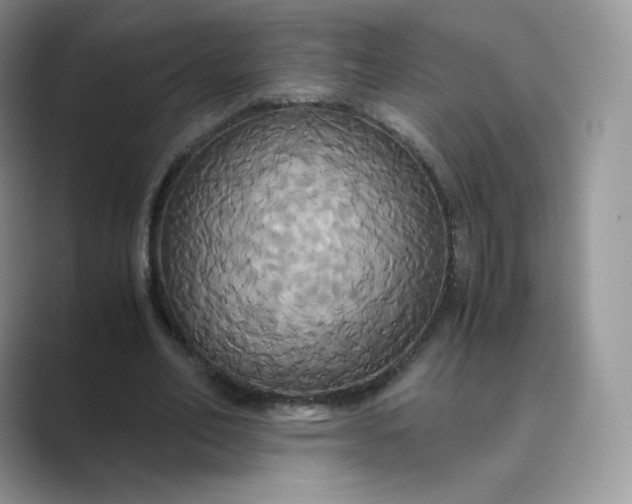 X0000089730582200707051740