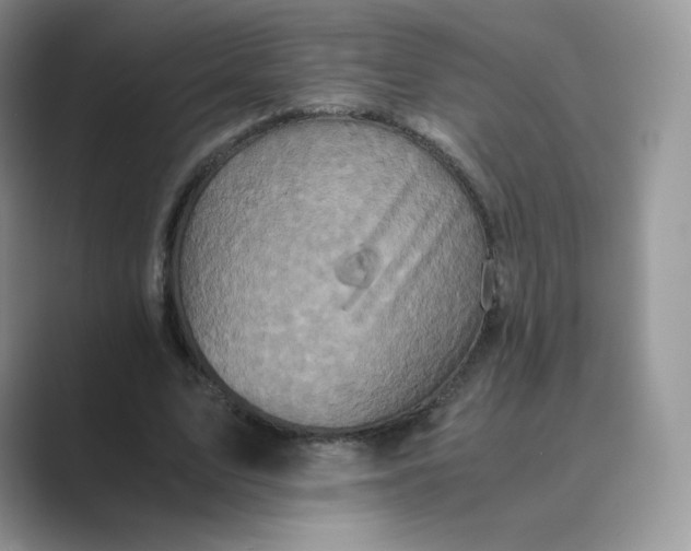 X0000089730583200707051740
