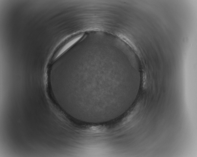 X0000089730584200707051740