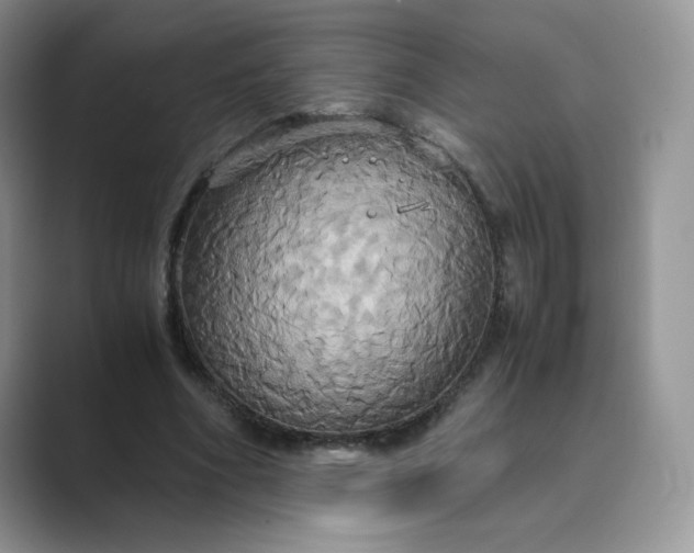 X0000089730586200707051740