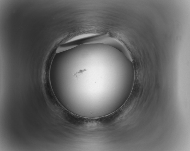 X0000089730587200707051740