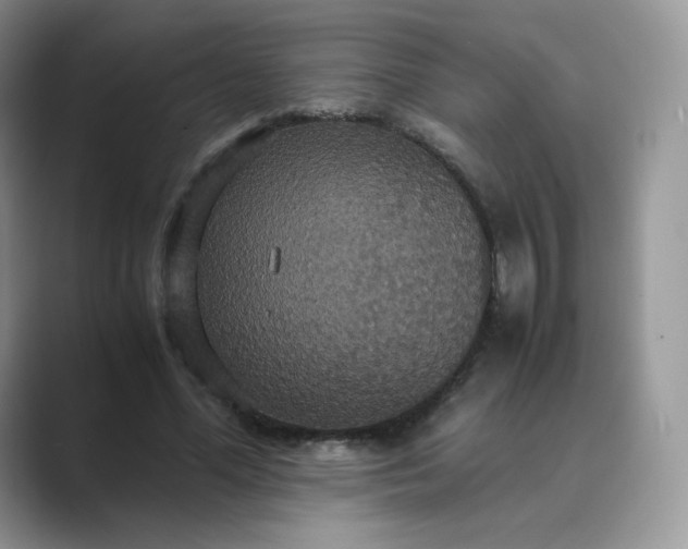 X0000089730588200707051740