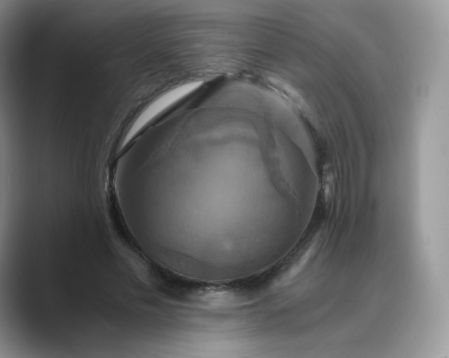 X0000089730589200707051740