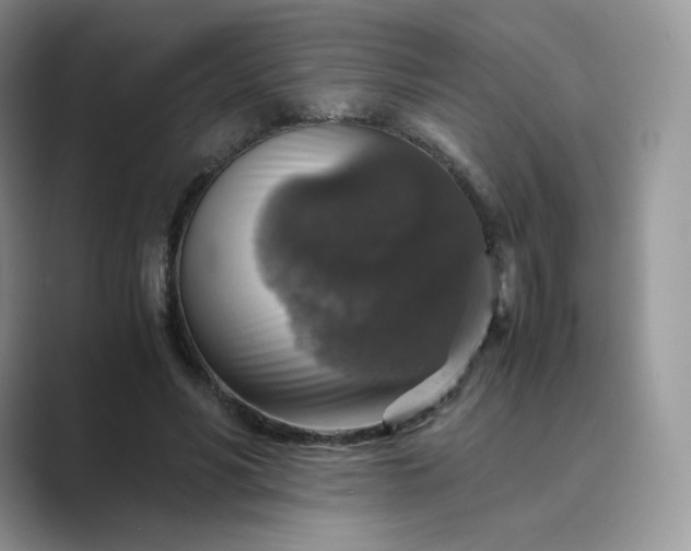 X0000089730590200707051740