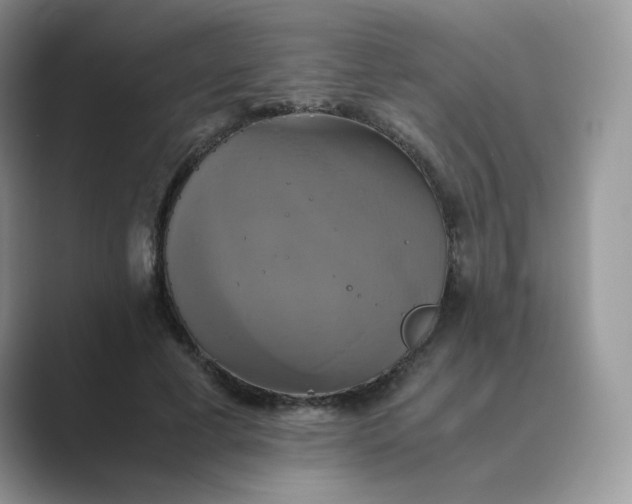 X0000089730593200707051740