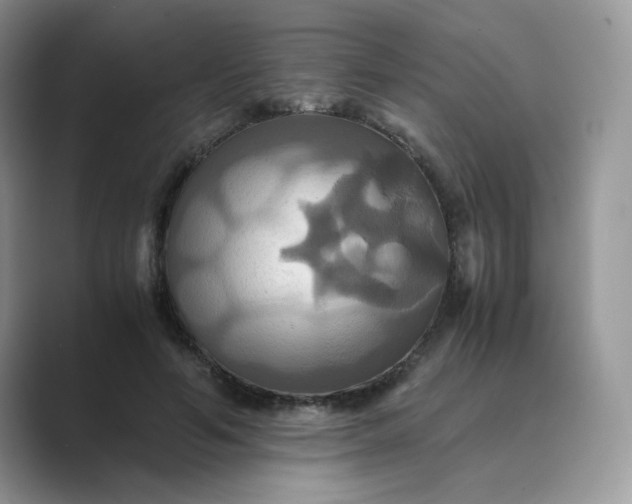 X0000089730594200707051740