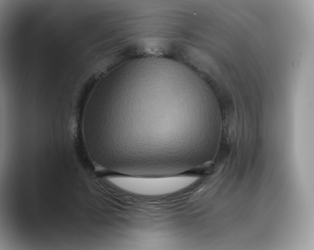 X0000089730595200707051740