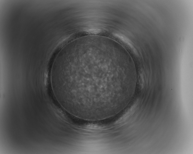 X0000089730596200707051740