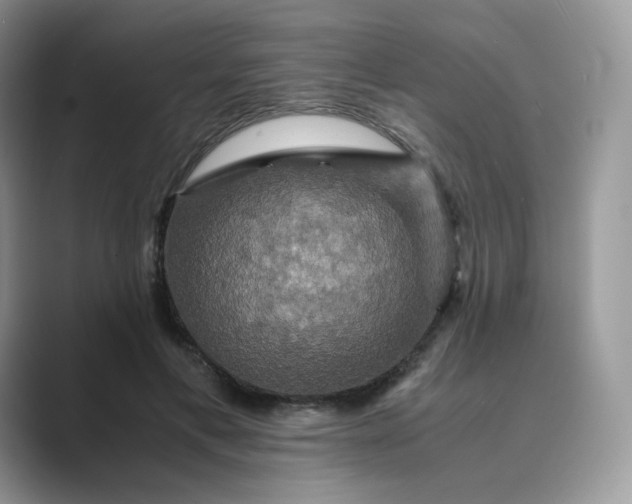 X0000089730597200707051740