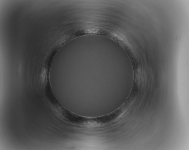 X0000089730598200707051740