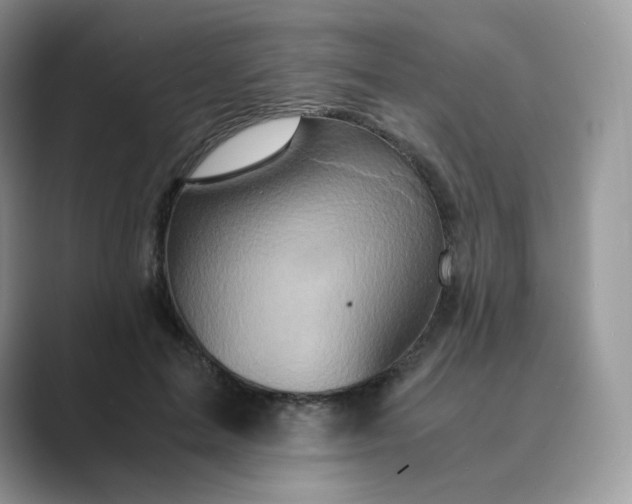 X0000089730599200707051740