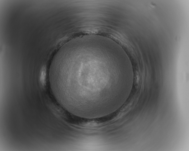 X0000089730600200707051740