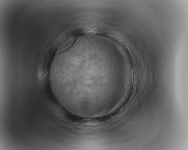 X0000089730601200707051740