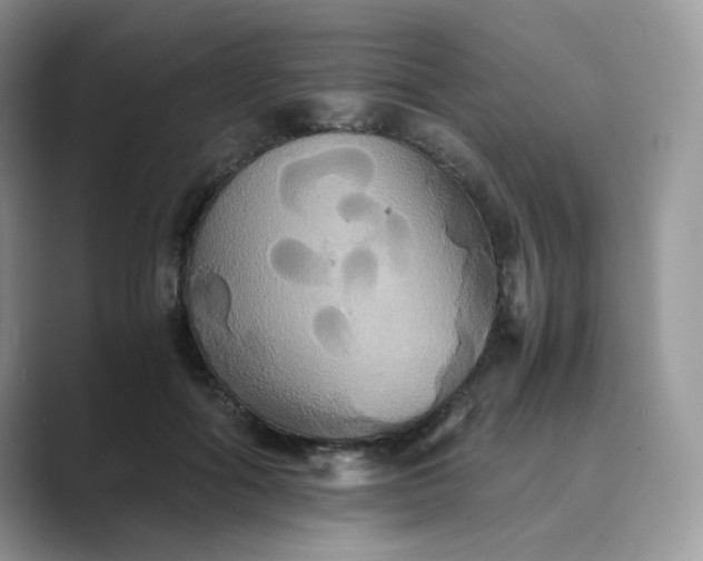 X0000089730602200707051740