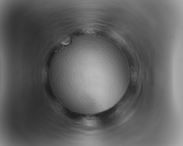 X0000089730603200707051740