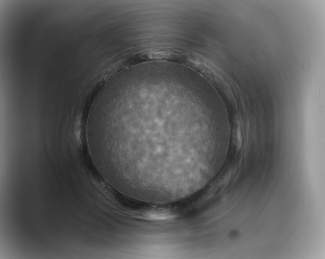 X0000089730604200707051740