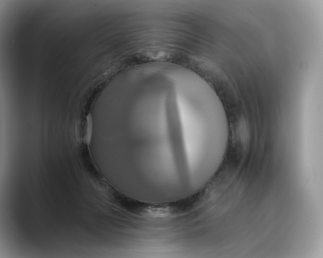 X0000089730606200707051740