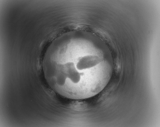 X0000089730607200707051740