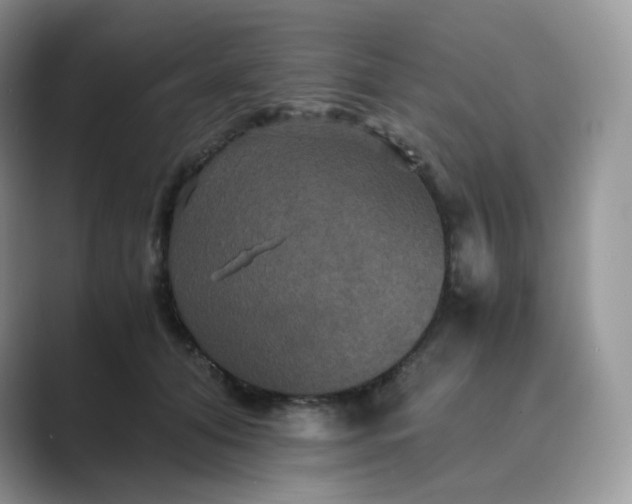 X0000089730608200707051740