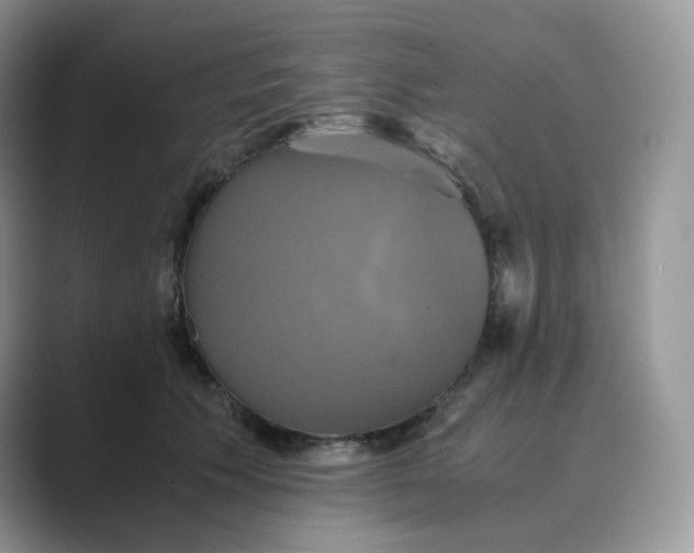 X0000089730609200707051740