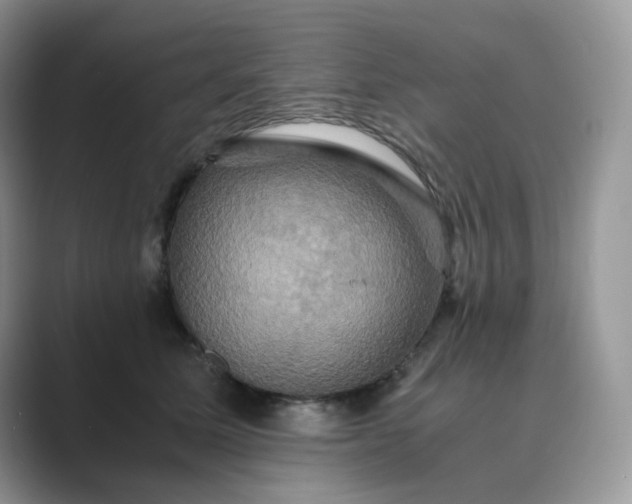 X0000089730611200707051740