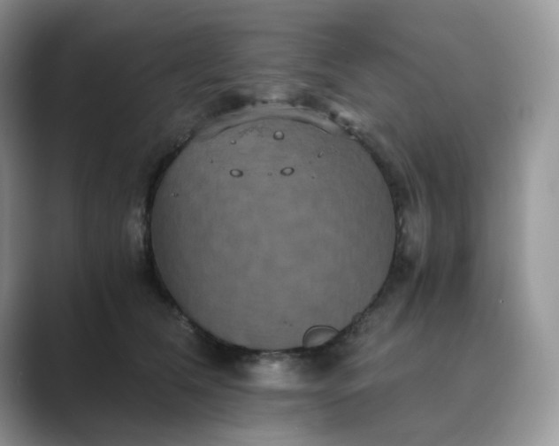 X0000089730612200707051740