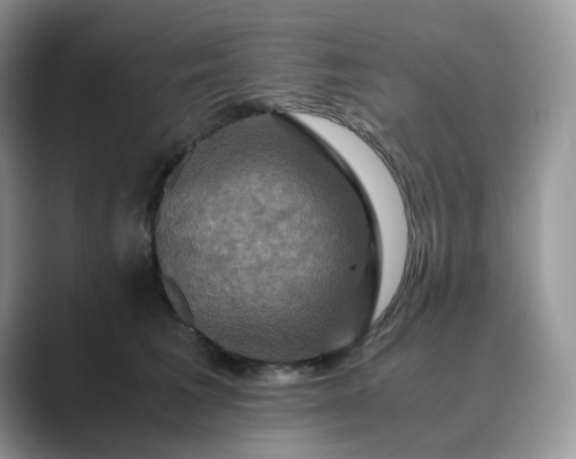X0000089730613200707051740