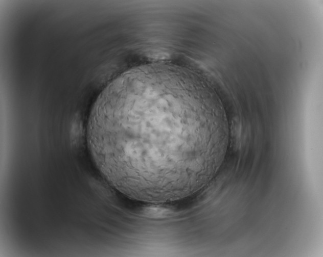 X0000089730614200707051740