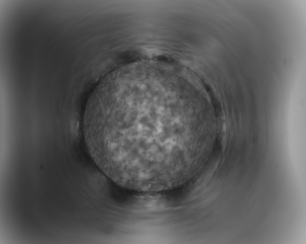 X0000089730615200707051740
