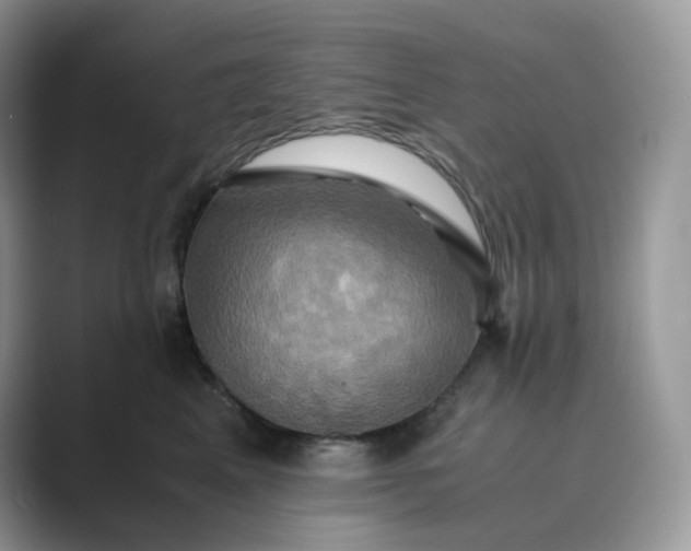 X0000089730617200707051740
