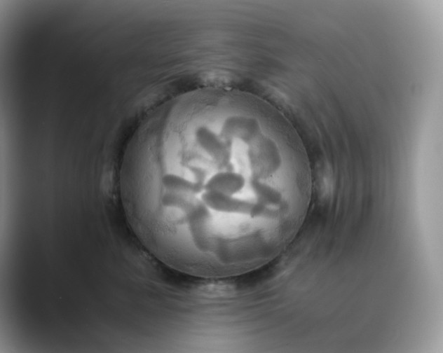X0000089730619200707051740