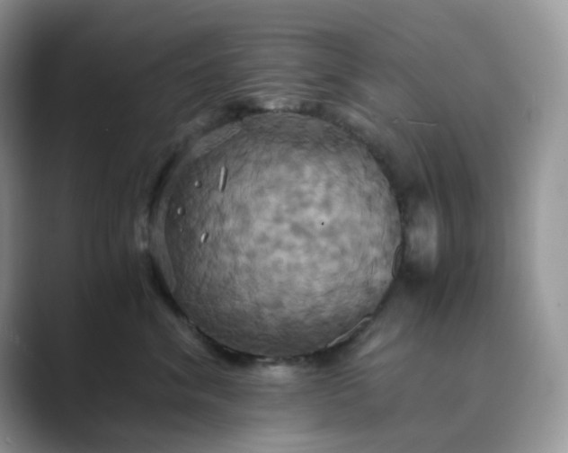 X0000089730620200707051740