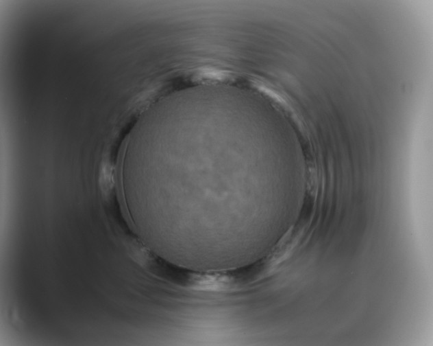 X0000089730621200707051740