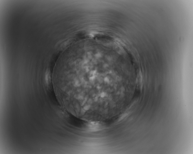 X0000089730623200707051740