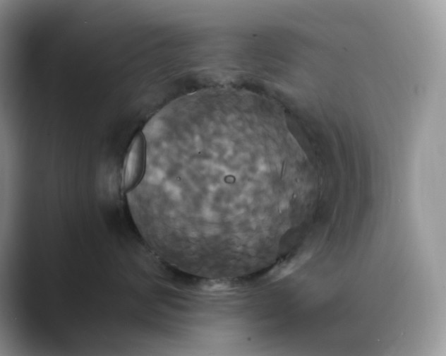 X0000089730624200707051740