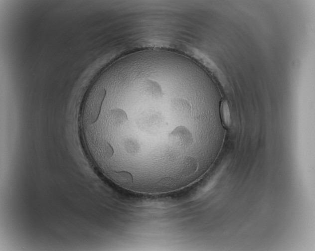 X0000089730625200707051739
