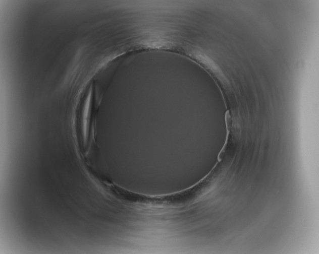 X0000089730626200707051739