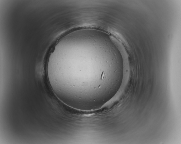 X0000089730628200707051739