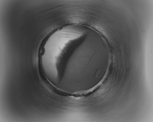X0000089730630200707051739