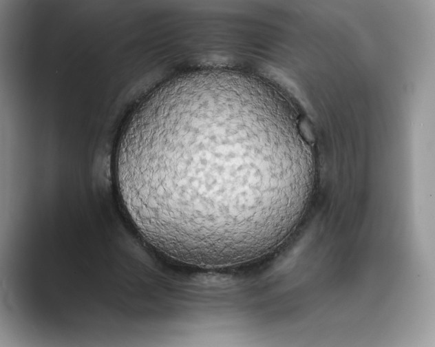 X0000089730633200707051739