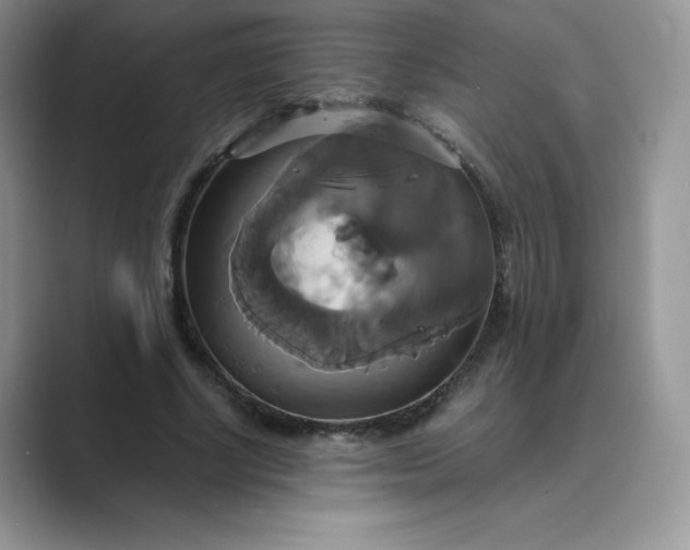 X0000089730634200707051739