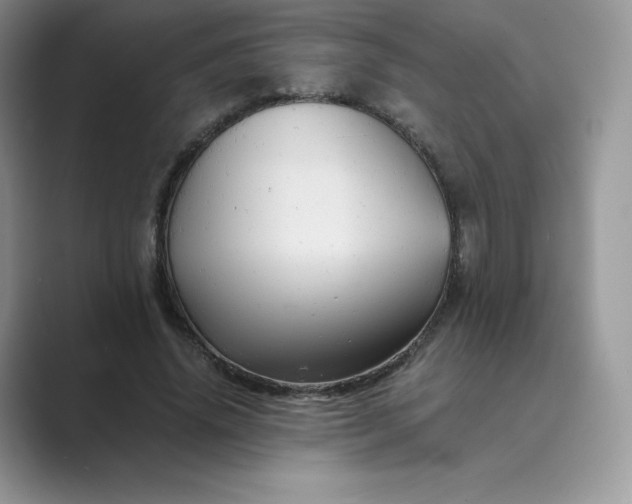 X0000089730636200707051739