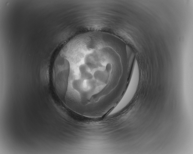 X0000089730638200707051739