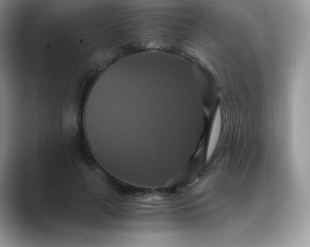 X0000089730643200707051739