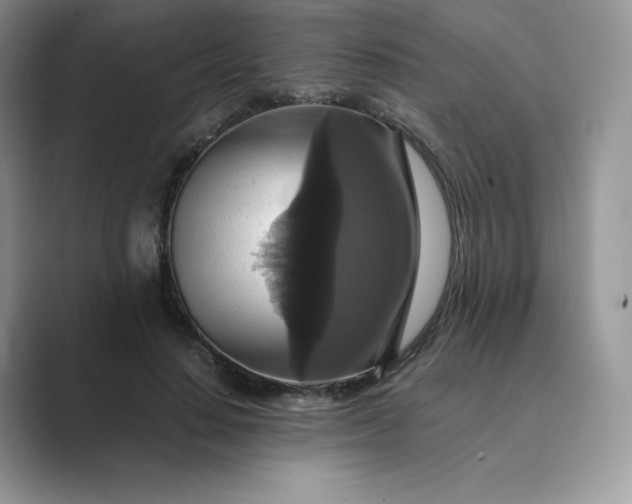 X0000089730644200707051739